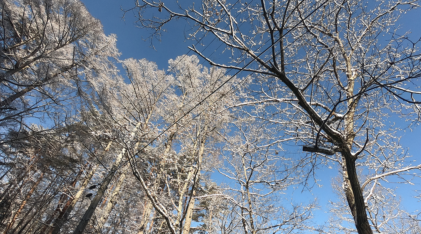 長野県　安曇野　冬　移住体験